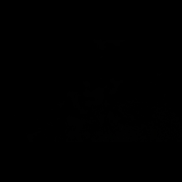 dsc123398